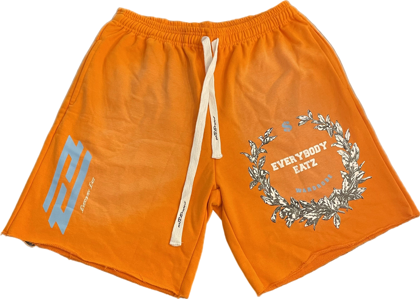Sun-Bleached Entrapreneurs Shorts